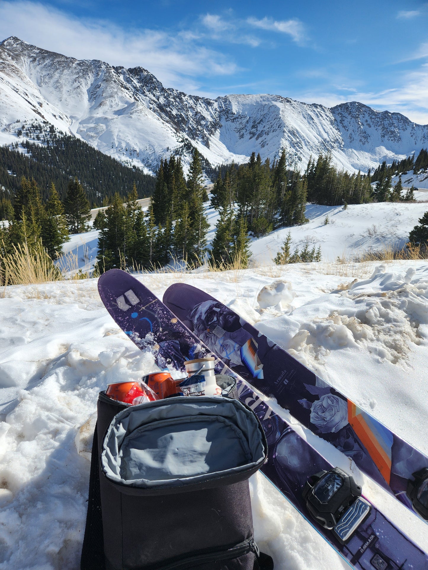-COLE Insulated Adventure Pack