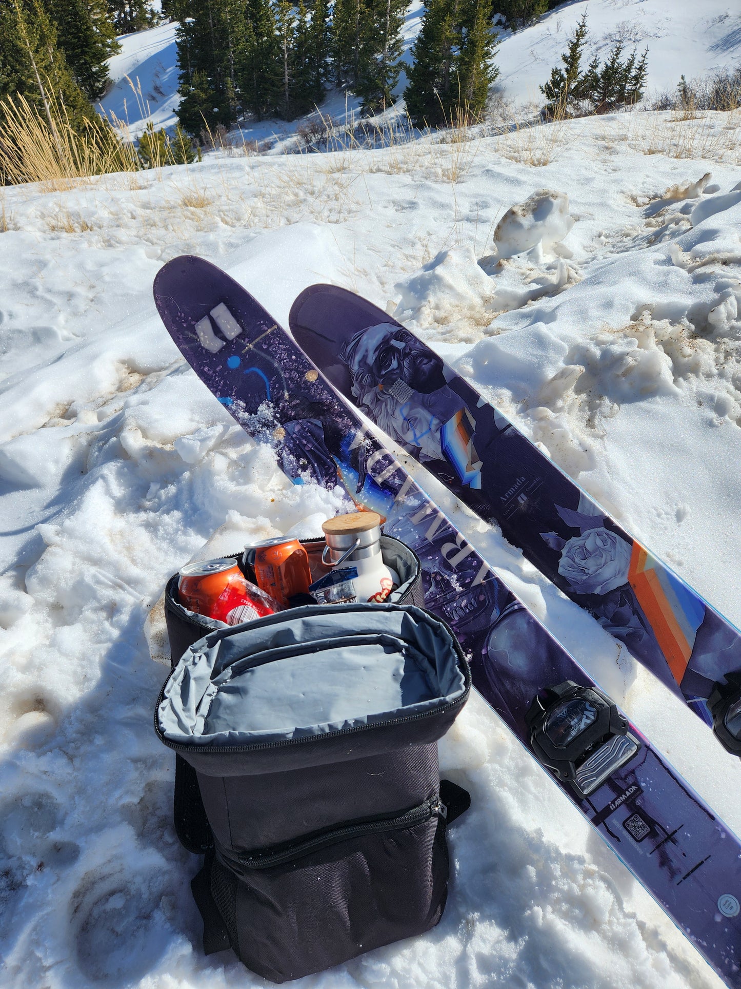 -COLE Insulated Adventure Pack